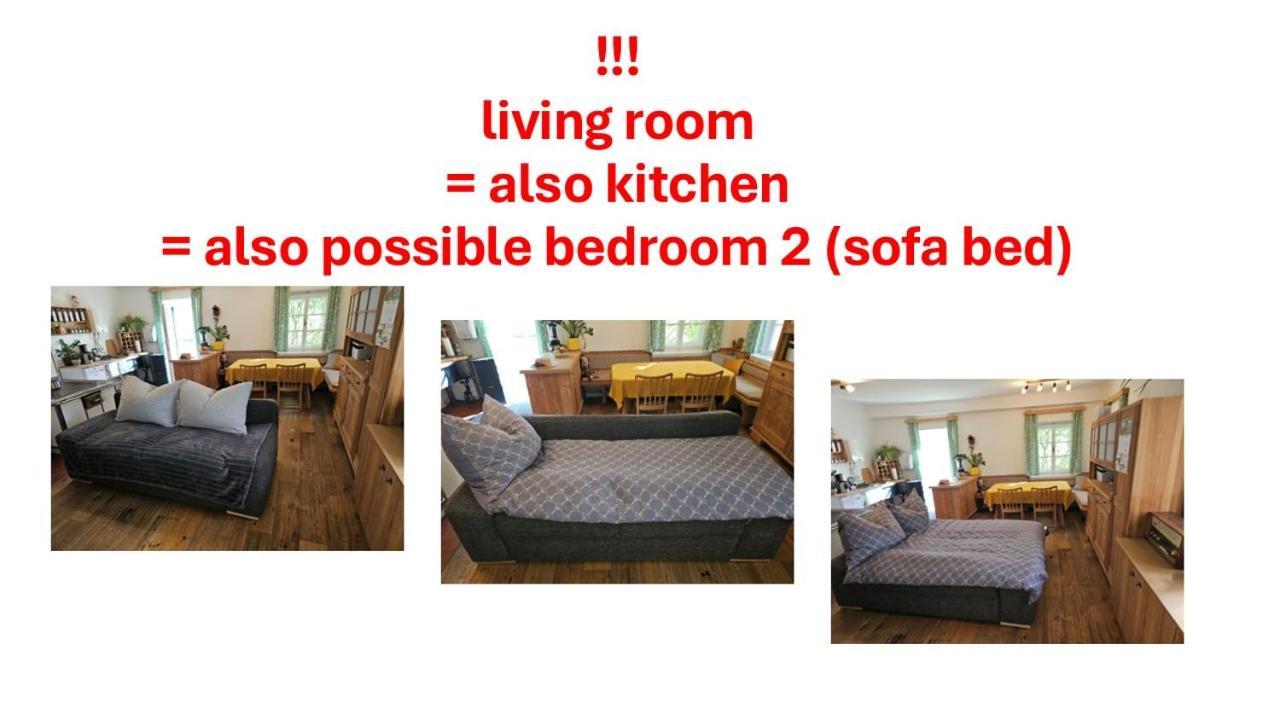 Premium Apartment Mit Privatem Whirlpool, Sauna, Garten Sankt Martin am Grimming Exterior photo